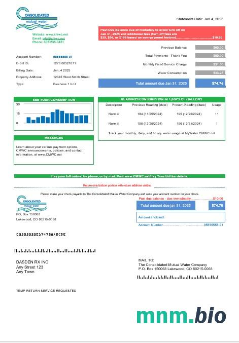 USA Consolidated Mutual Water rachunek za usługi komunalne template w formatach Word i PDF